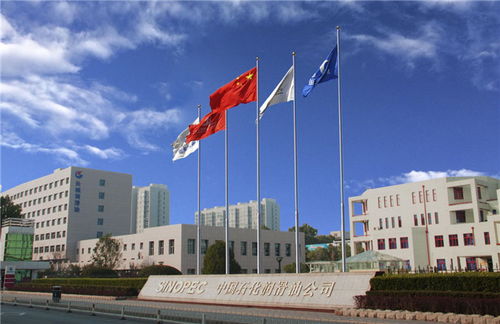 中國石化長城潤滑油榮獲國際首批全球最高標(biāo)準(zhǔn)汽油機(jī)油認(rèn)證，引領(lǐng)潤滑油零售新標(biāo)桿